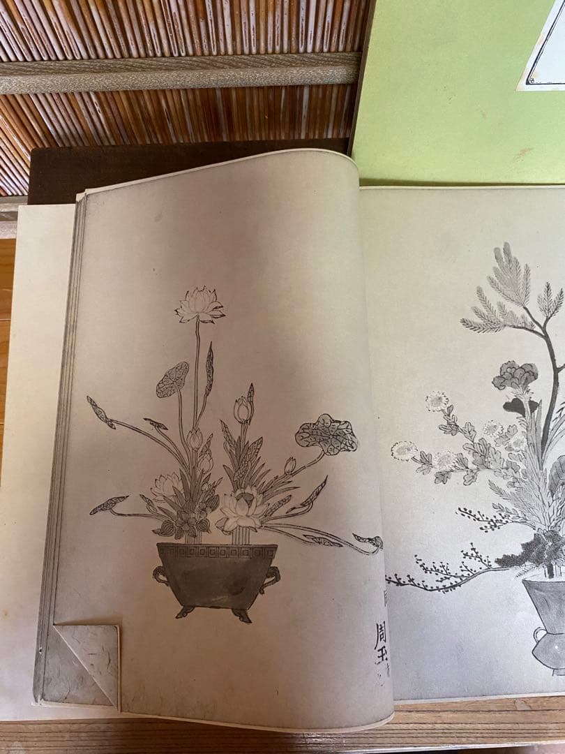 池坊 華道 本 立華百瓶図 前後巻 限定300部 - メルカリ