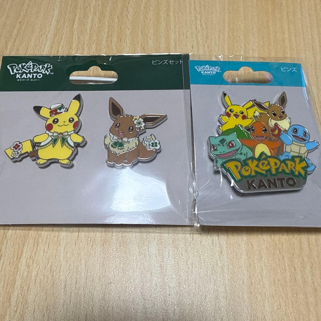 新品未開封】ポケパークカントー オープン記念 限定ピンズセット