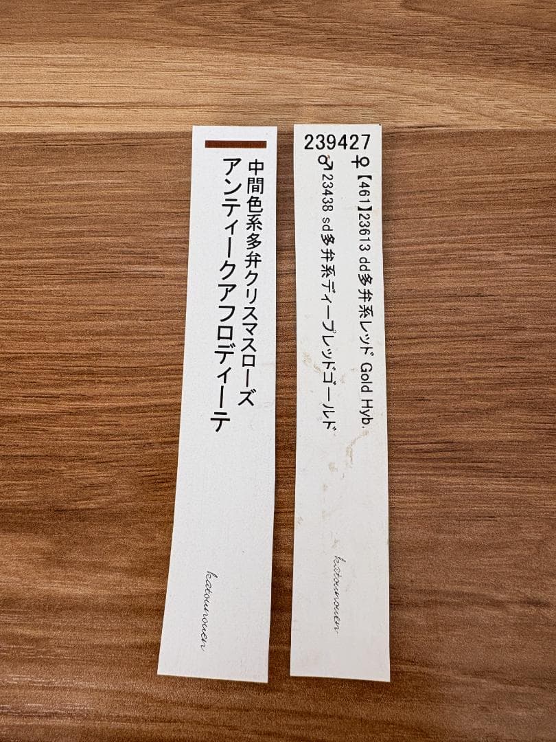 【mirakohujinさま専用】　認定　アンティークアフロディーテ