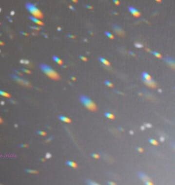 スワロフスキー  サンキャッチャー  特大40mm 未使用品傷有りBランク品扱い