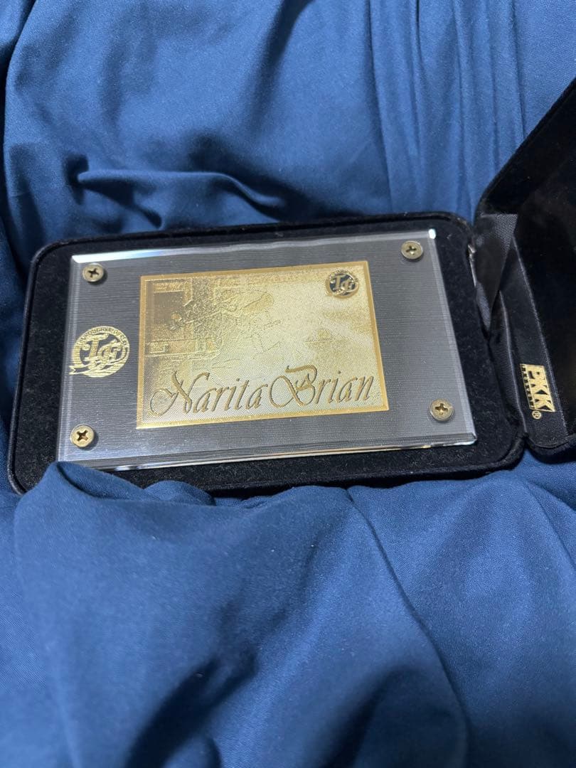 貴重　ナリタブライアン　300枚限定　レア　記念