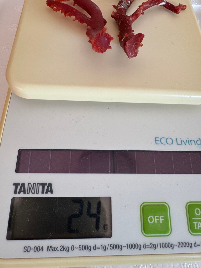 宝石珊瑚　血赤珊瑚　原木