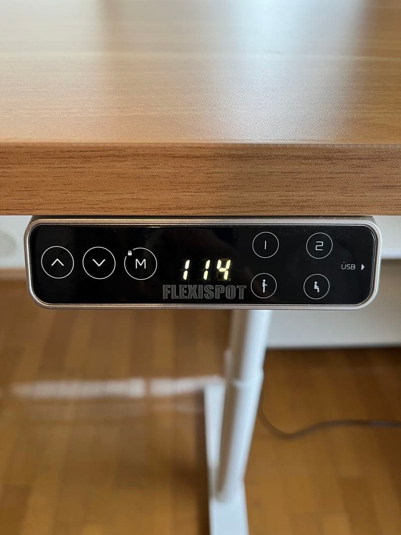 【引き取り限定】FLEXISPOT 昇降デスク　ほぼ新品