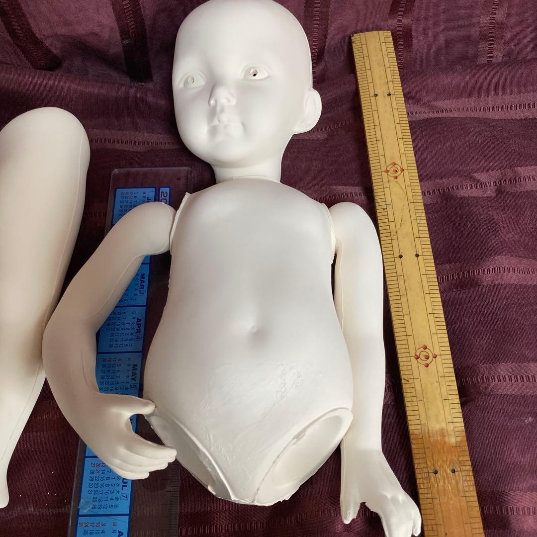 ソフトファイヤー済　ダイアナエフナー(大)モダンドール