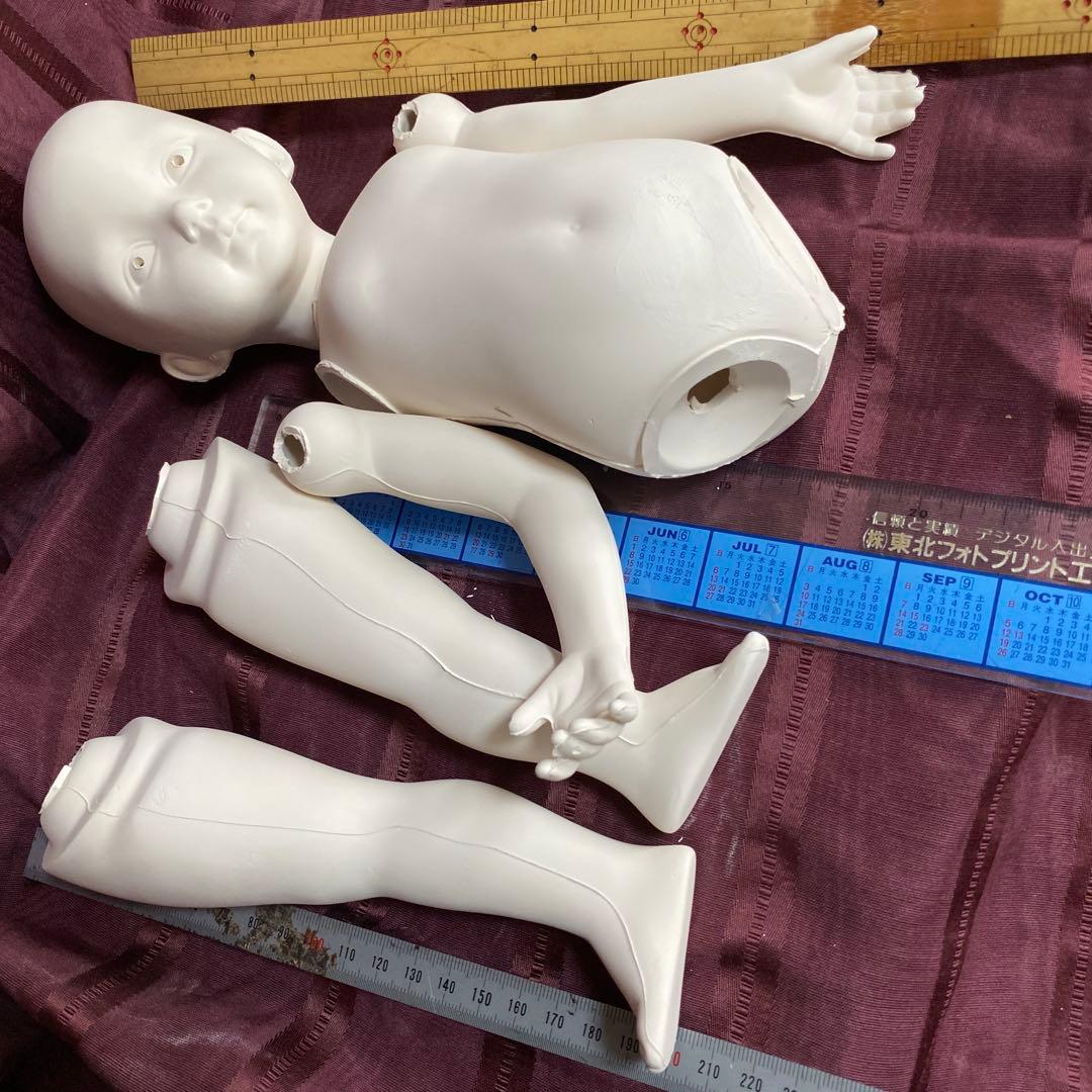 ソフトファイヤー済　ダイアナエフナー(大)モダンドール