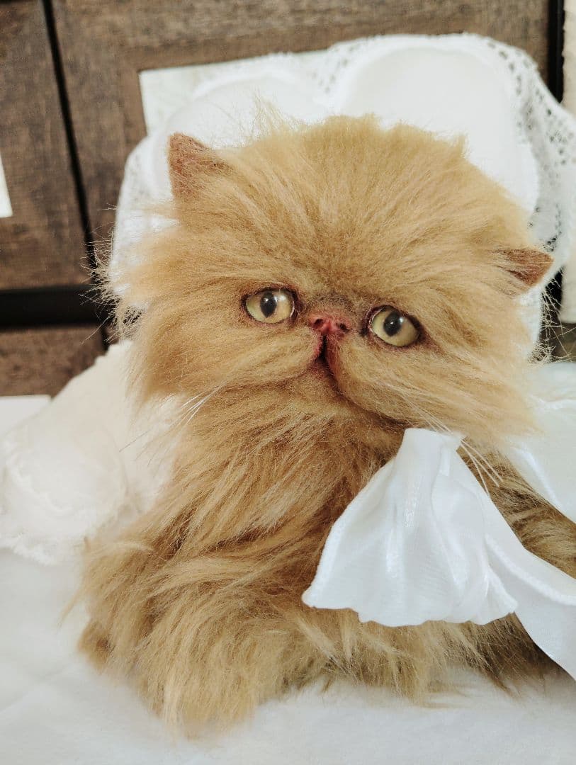 ちょっぴりお姉ちゃん♡エキゾチックロングヘア子猫ちゃん♡アートドール♡ぬいぐるみ