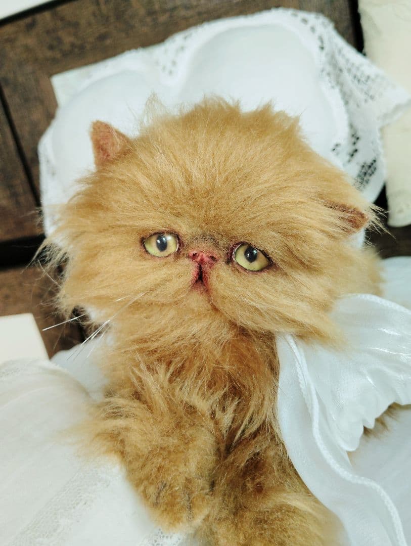 ちょっぴりお姉ちゃん♡エキゾチックロングヘア子猫ちゃん♡アートドール♡ぬいぐるみ