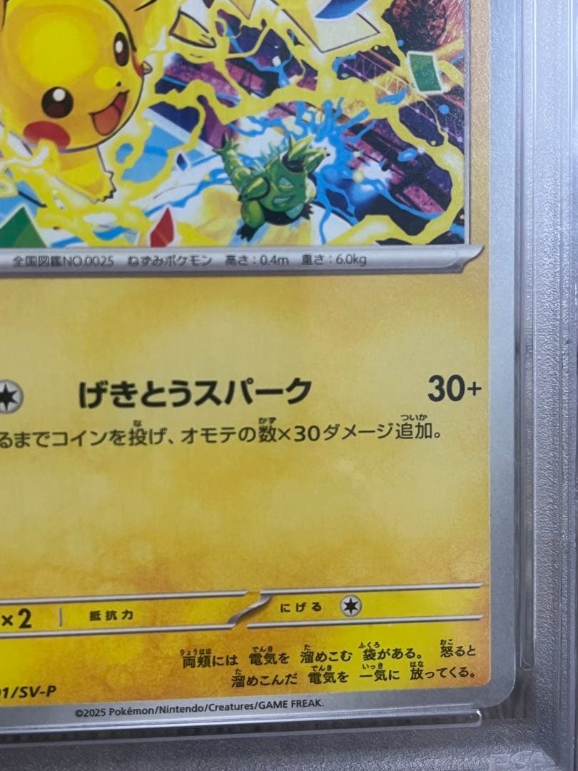 PSA10 2025 ピカチュウ GYM EVENT CAMPAIGN #291 - メルカリ