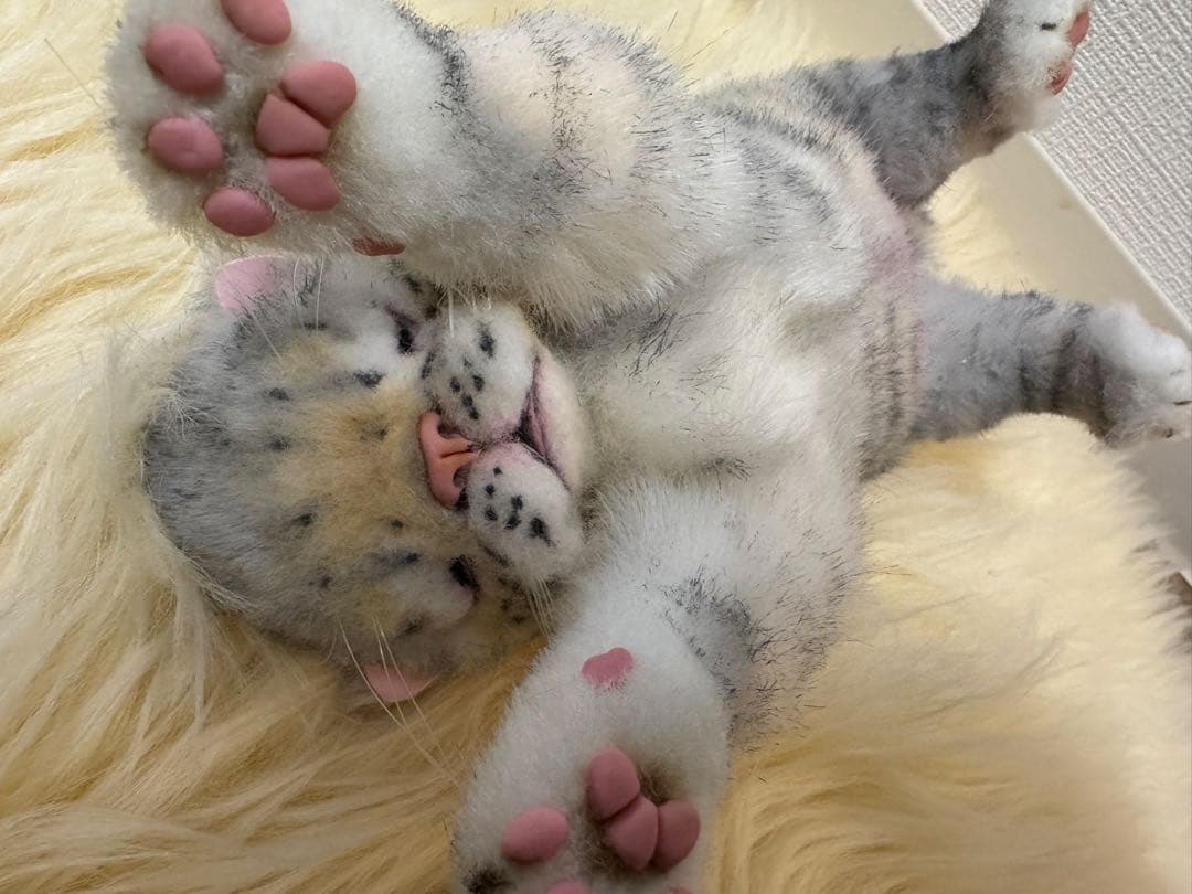 海外作家様作 アートドール ネコの赤ちゃん 海外作家様作 猫の赤ちゃん