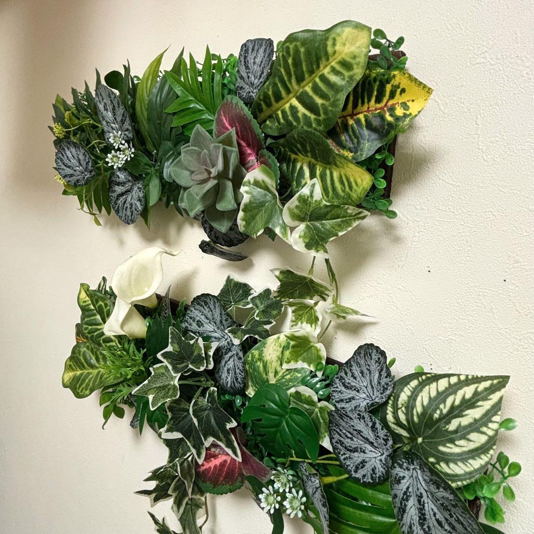 光触媒加工ウォールグリーン♡2枚組Y 2♡