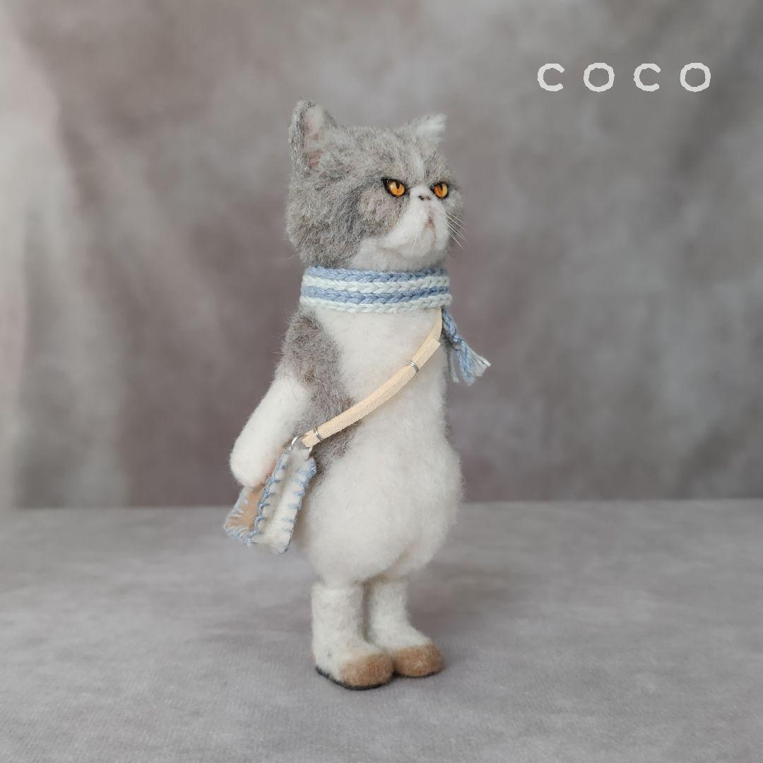 ショルダーバックを下げたエキゾチックショートヘアさん(グレー)