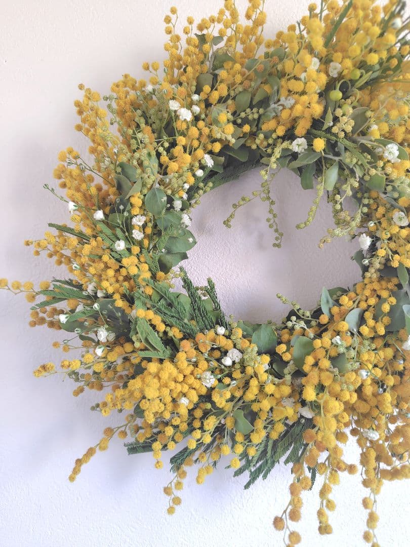 2種のミモザとカスミソウの春待ちリース