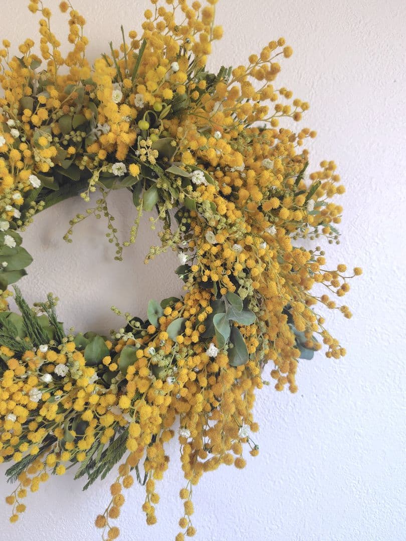 2種のミモザとカスミソウの春待ちリース