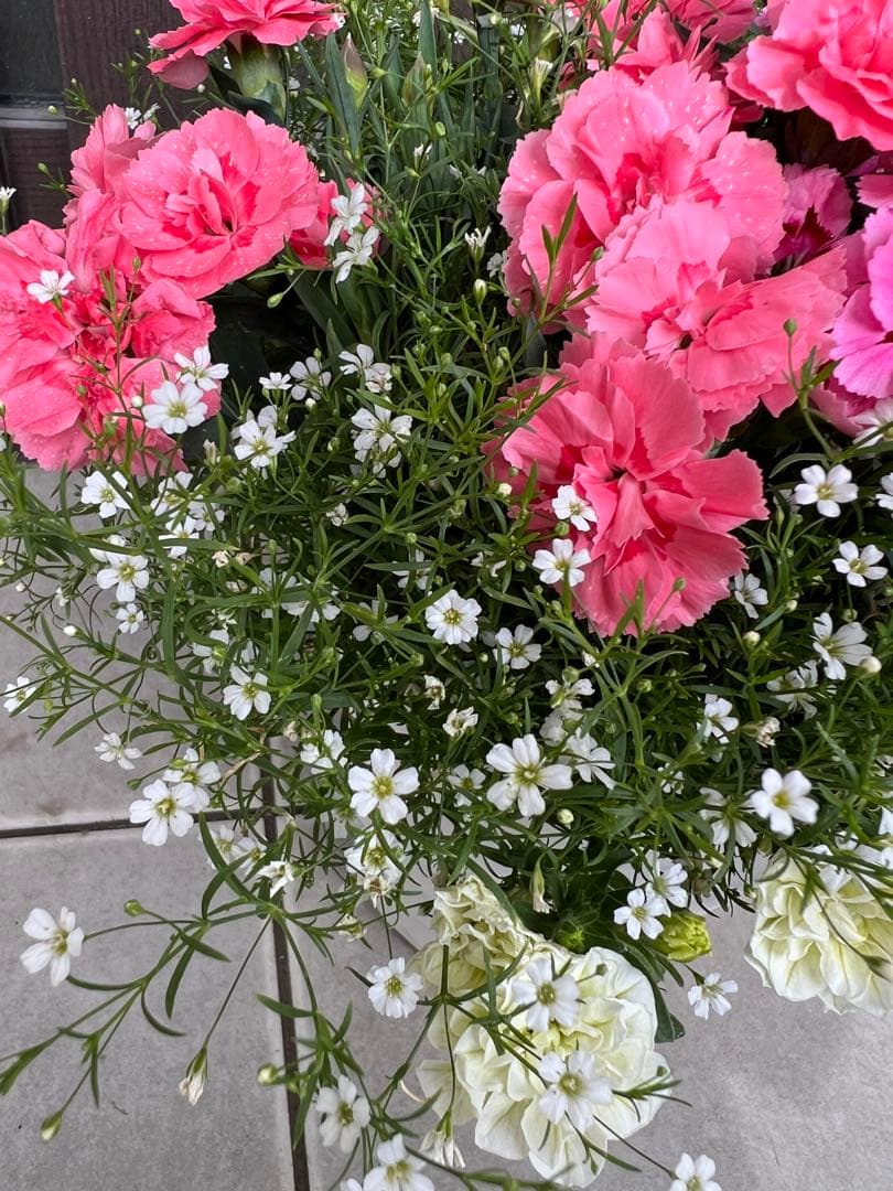 母の日のプレゼントにも♪ 寄せ植え　花■カーネーションの花束のような寄せ植え