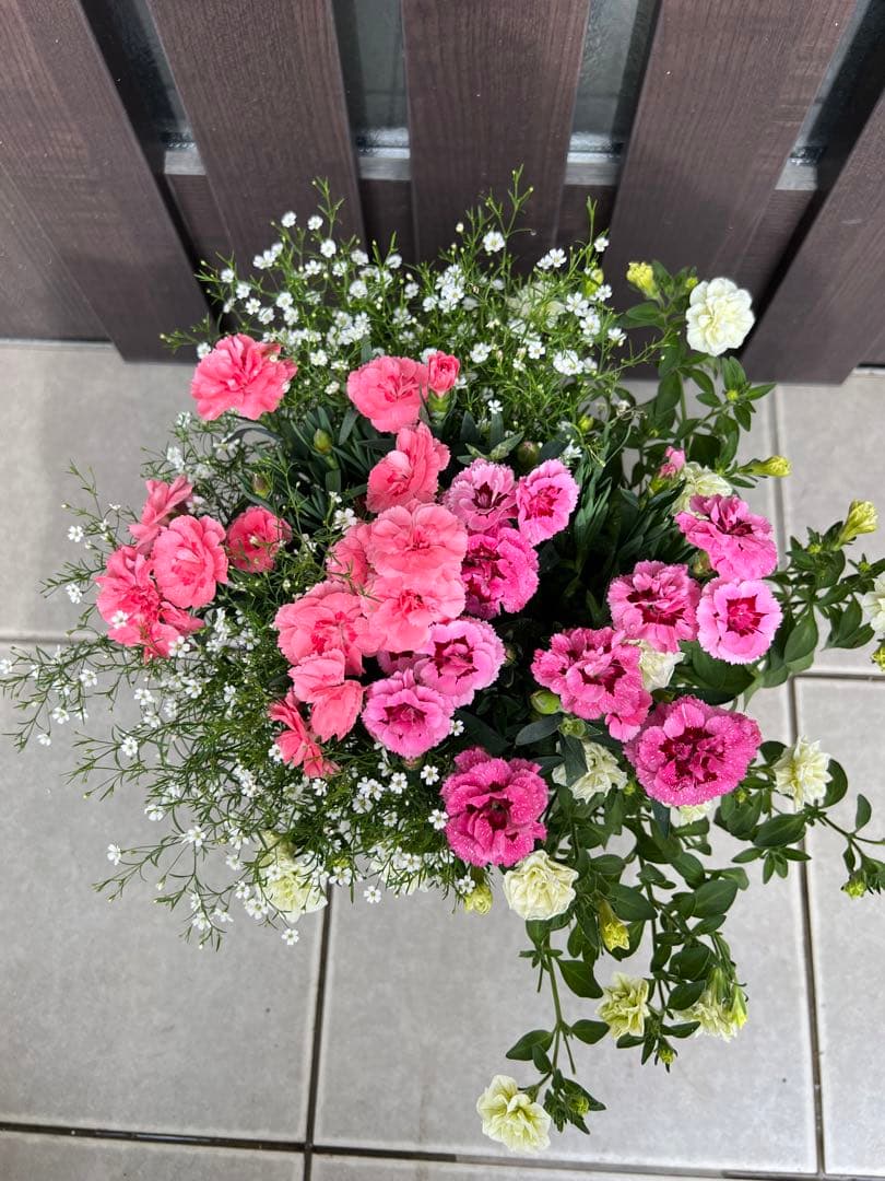母の日のプレゼントにも♪ 寄せ植え　花■カーネーションの花束のような寄せ植え
