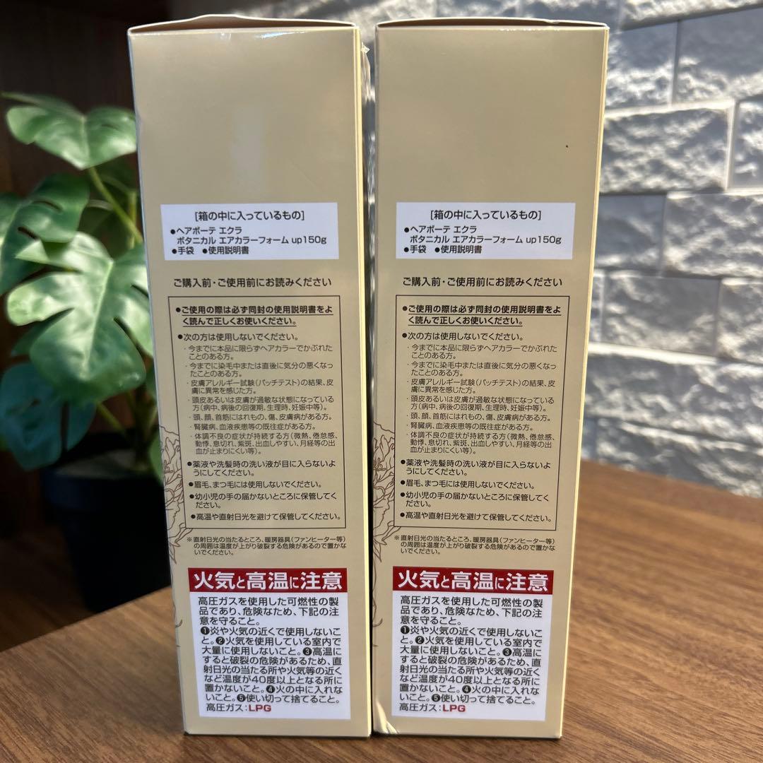 [新品]ヘアボーテエクラ ボタニカルエアカラーフォーム ライトブラウン2本セット