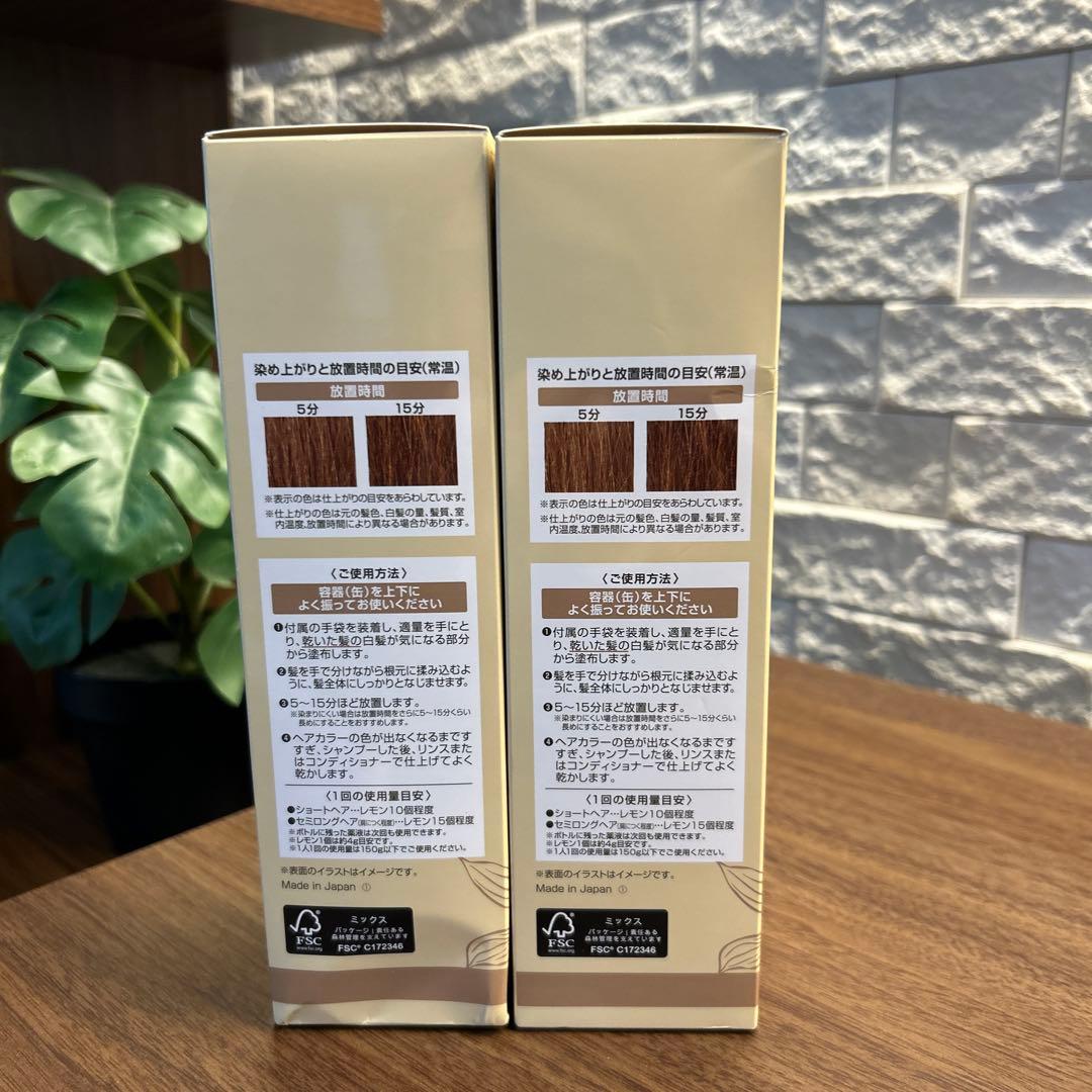 [新品]ヘアボーテエクラ ボタニカルエアカラーフォーム ライトブラウン2本セット