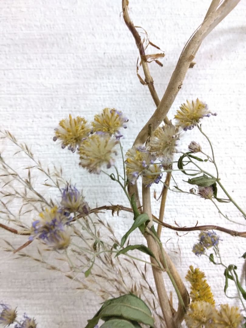 Lake & Sea 山野草のドライフラワー壁掛けドライフラワースワッグ山野草リ