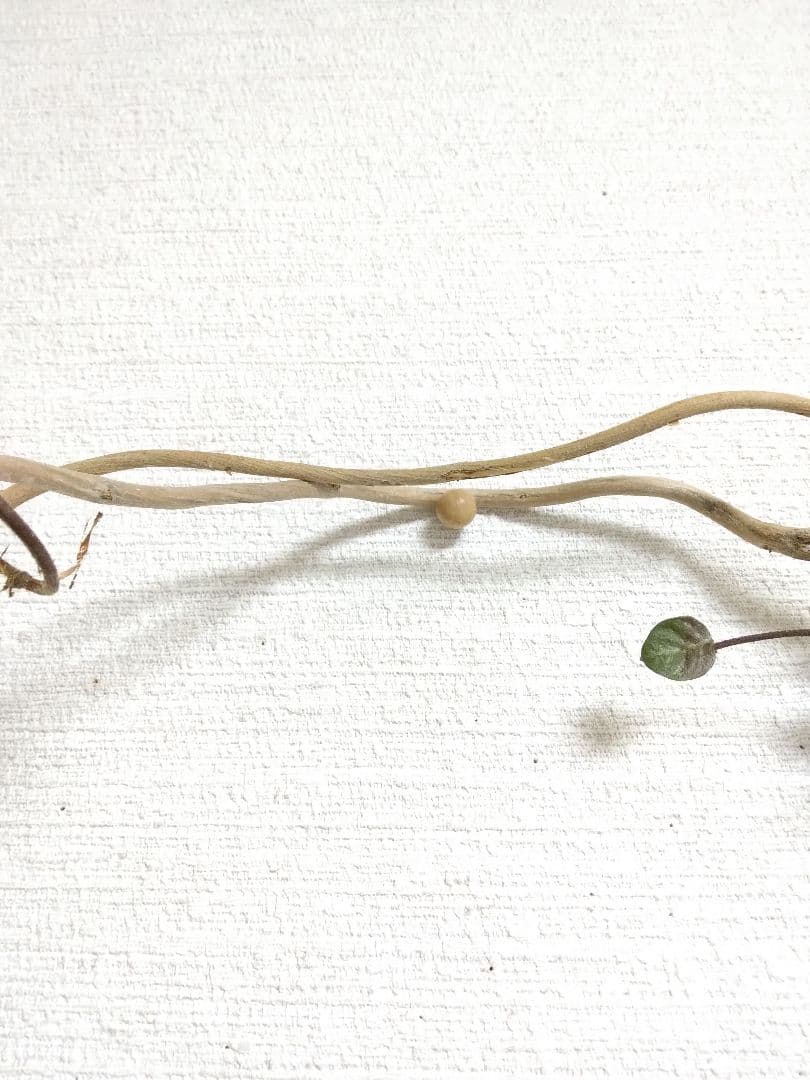 Lake & Sea 山野草のドライフラワー壁掛けドライフラワースワッグ山野草リ