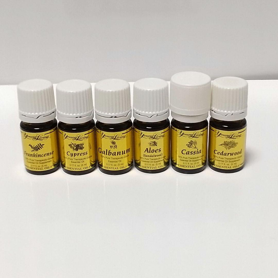 ☆聖書の中の12のオイル ☆ ヤングリビング ヤングリヴィング - メルカリ