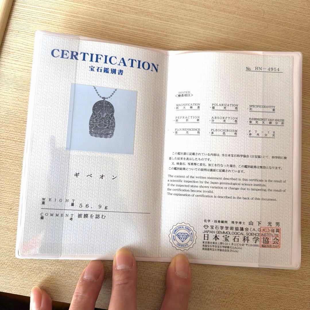 [希少]57gギベオン隕石ペンダント(宝石鑑別書付き)