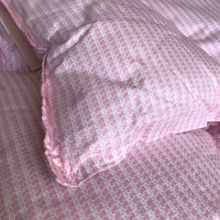 新品 西川(24+) 羽毛肌掛ふとん(ダブル) 送料込 P 定価66000円