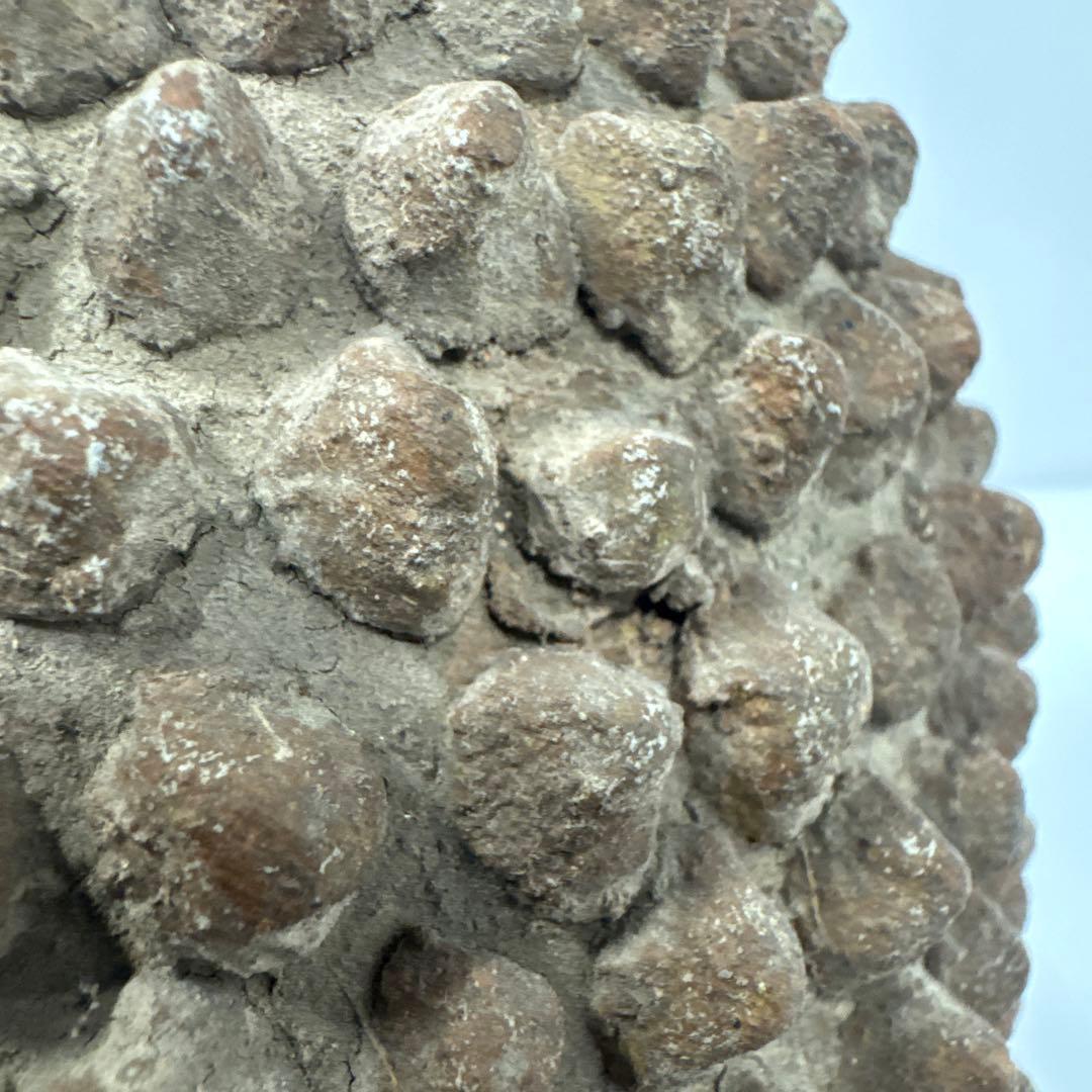 【希少】 アフリカ民芸風 ドリアン 土器 一輪挿し プリミティブアート オブジェ