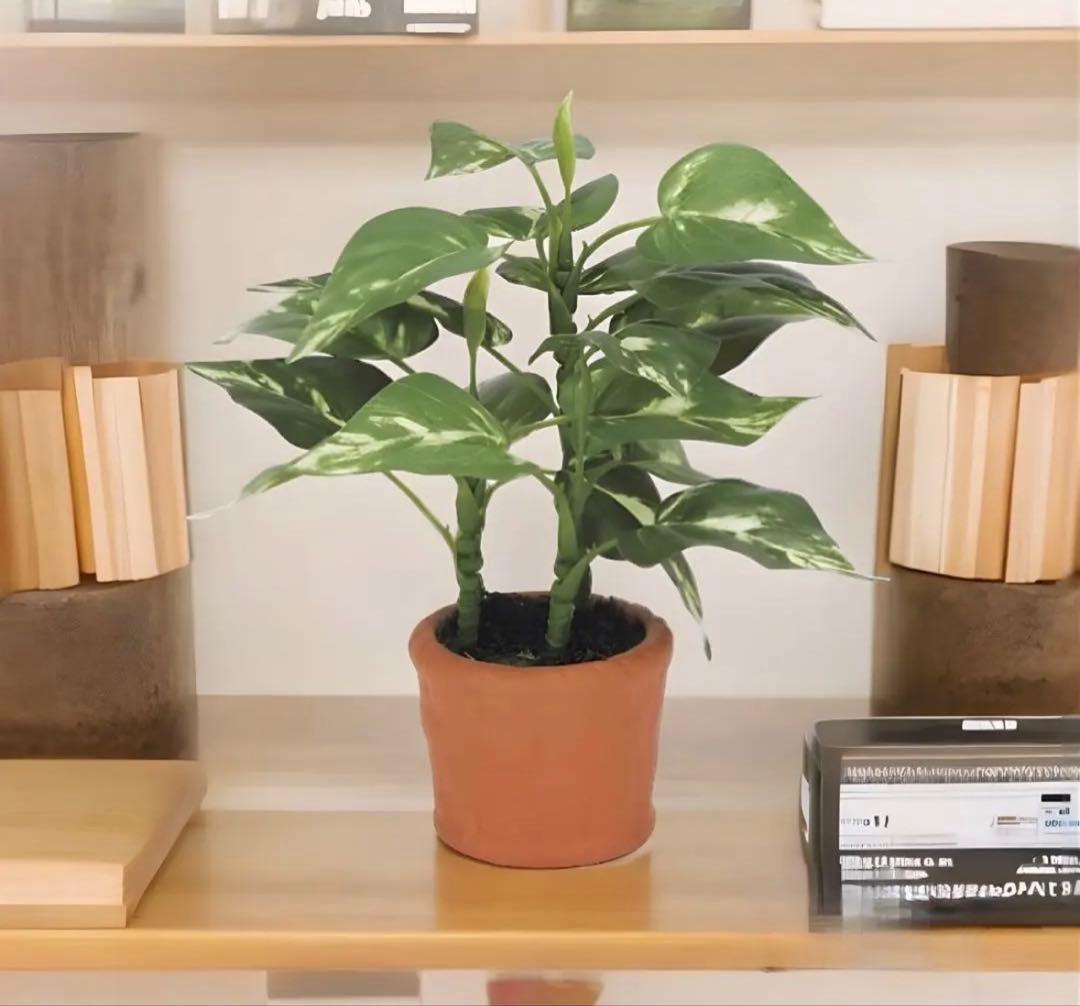 光触媒 人工観葉植物 ウォールグリーン フェイクグリーン ポトス花器付