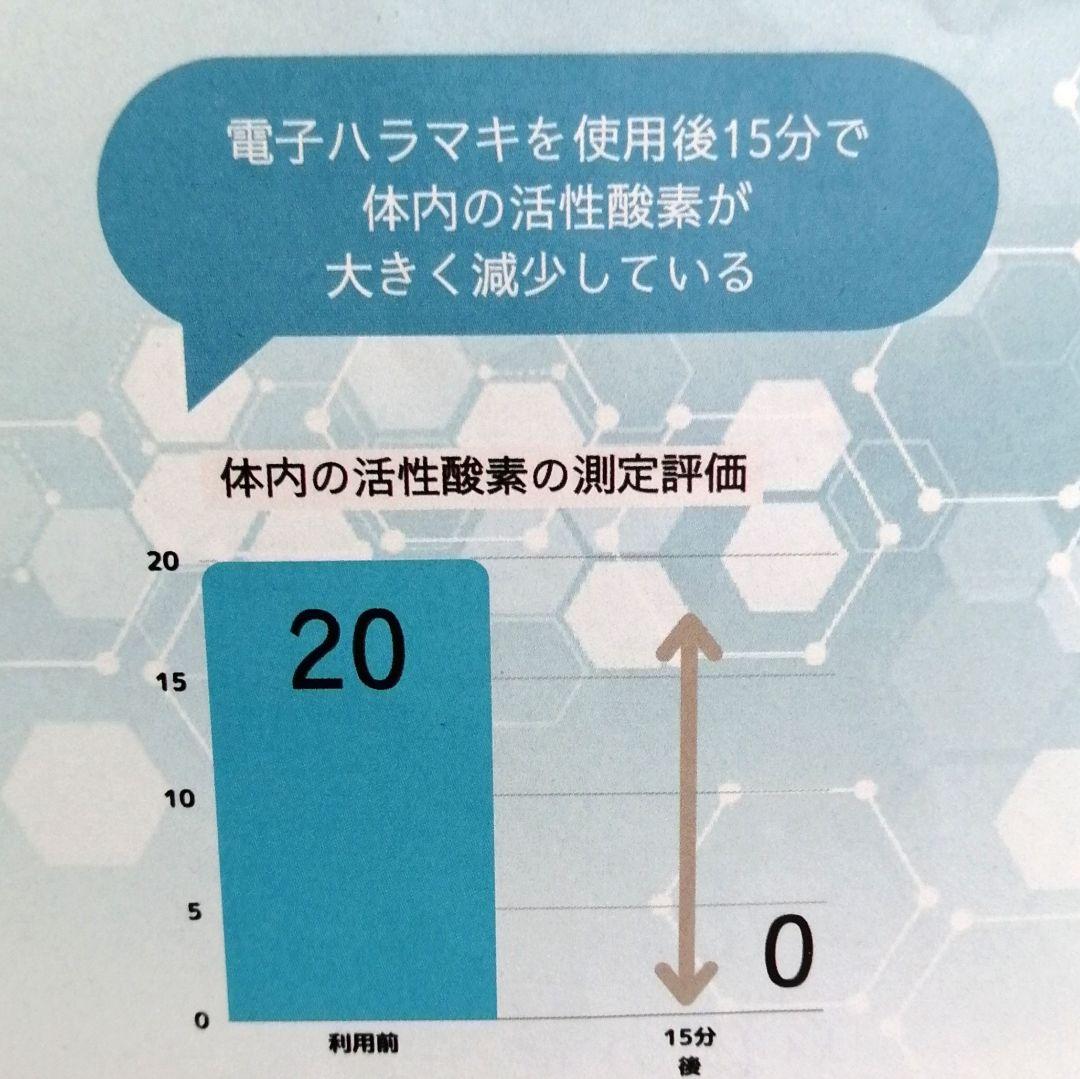 新品 BIYURA ビユラ 正規品 電子ハラマキ 黒 メンテナンスインナー