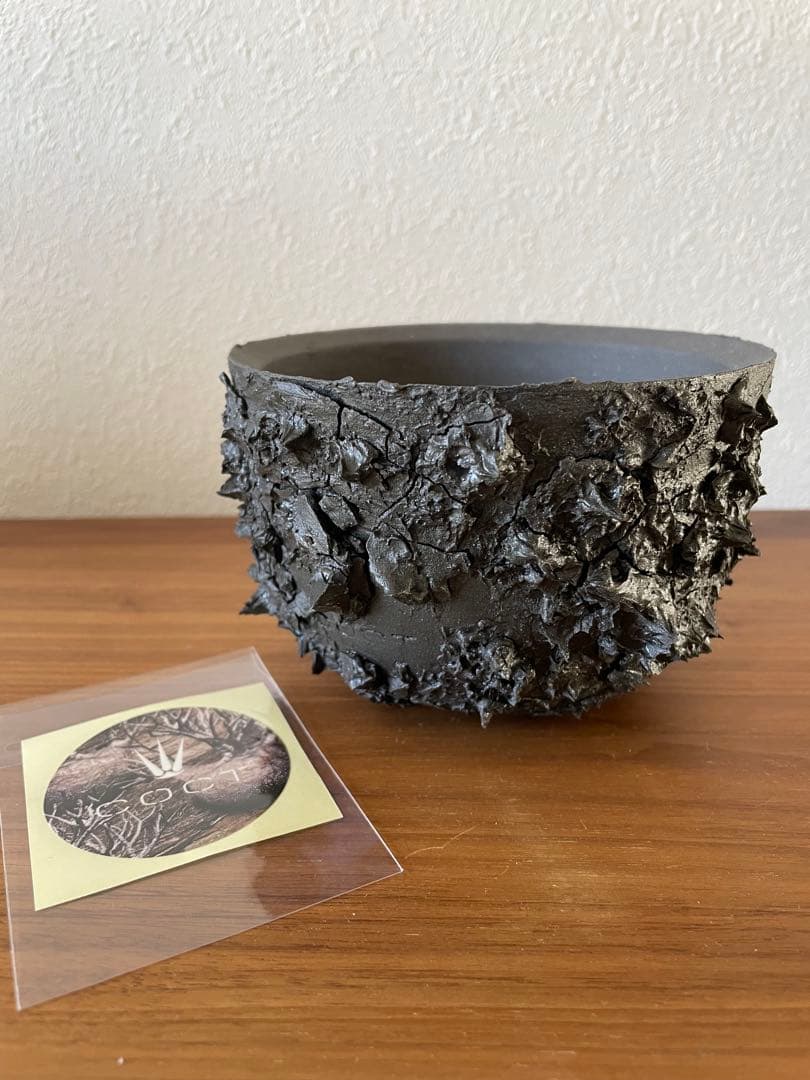 COCT 鉢 SHARK MattBlack type_VCU011