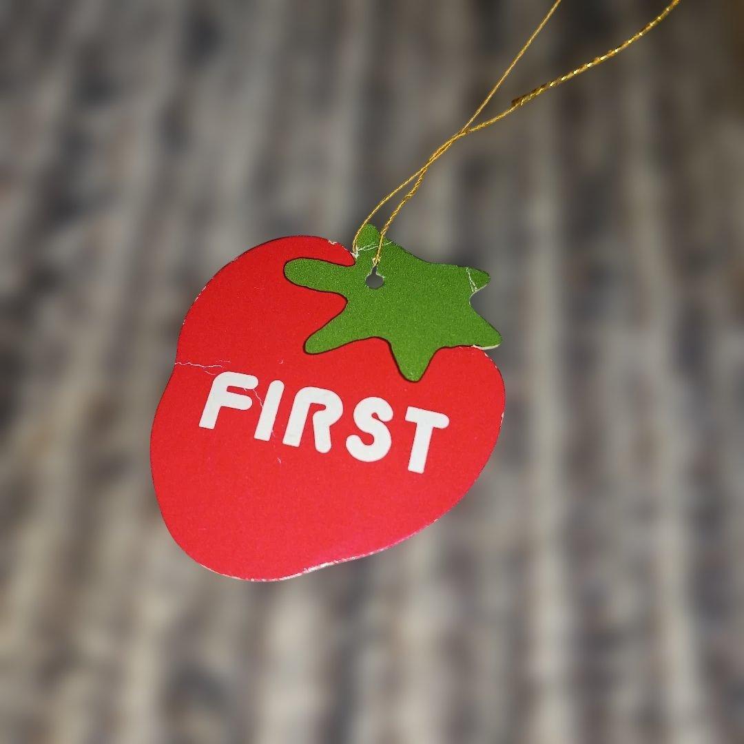 レトロ ファースト社 仔犬の花ちゃん ぬいぐるみ 犬 イヌ - メルカリ