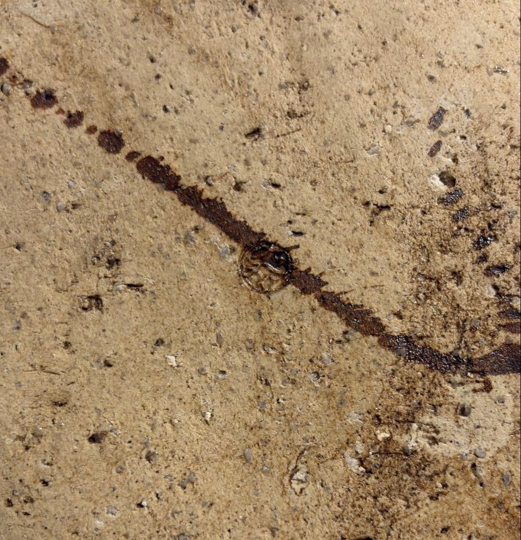 中島卓 織部釉 花瓶 敷板付 たくみ インテリア 置物 伊賀 織部 花器 陶芸