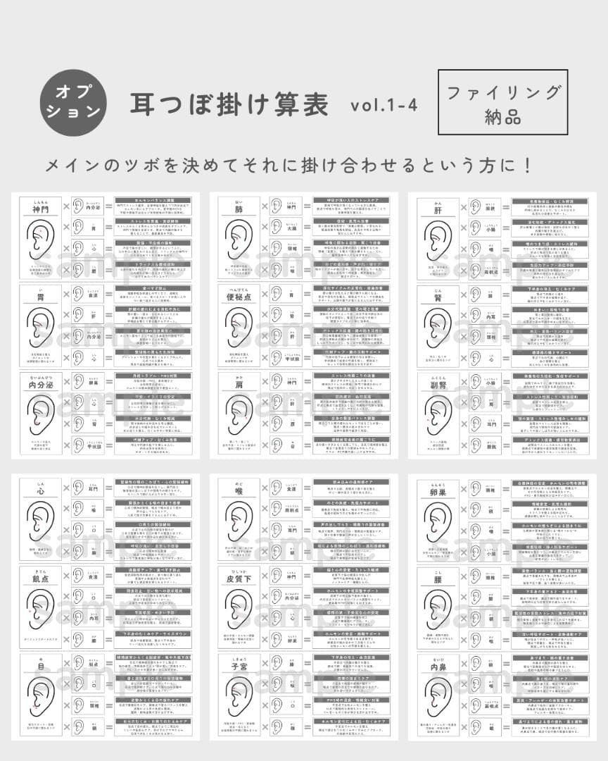 耳ツボジュエリー | 開業・メニュー化応援パック vol.2 | 耳ツボマップ