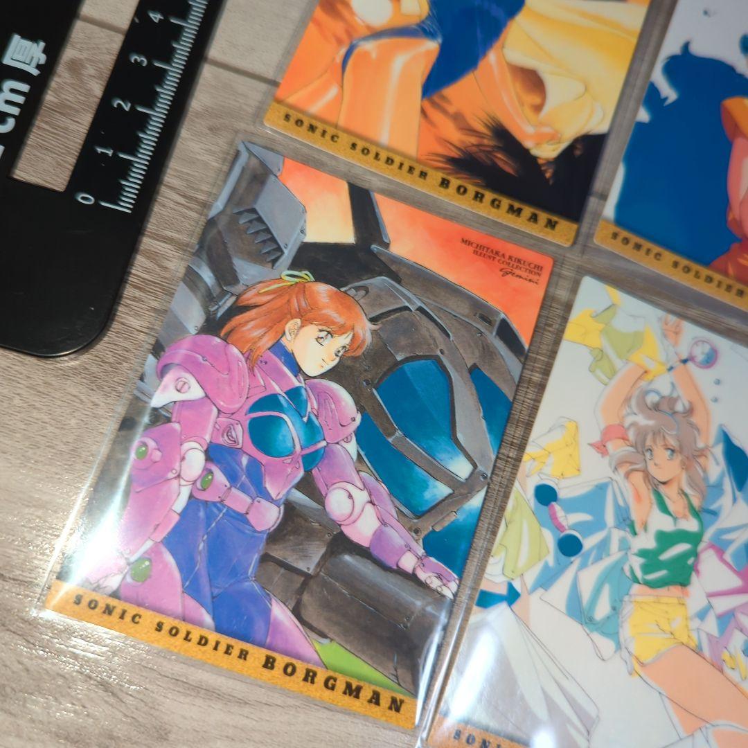 □ ボーグマン アニス アニス・ファーム 関連カード まとめ売り トレカ