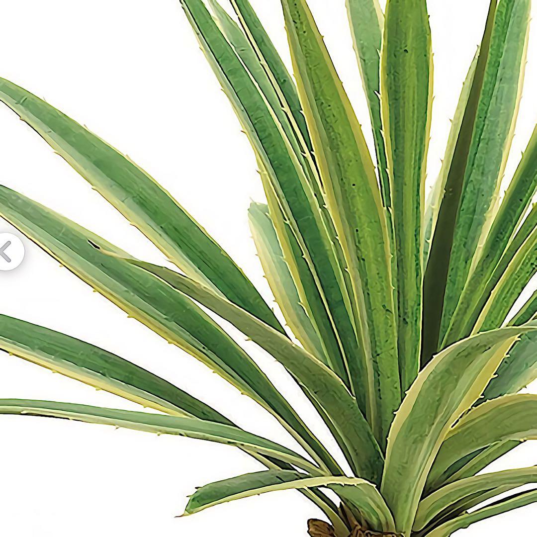 光触媒　人工観葉植物　ウォールグリーン　フェイクグリーン　フラワー　斑入りユッカ