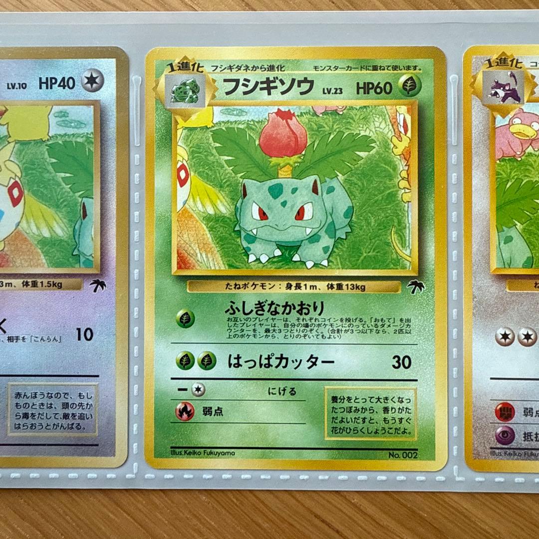 旧裏 サザンアイランド レインボーアイランド ポケモンカードゲーム