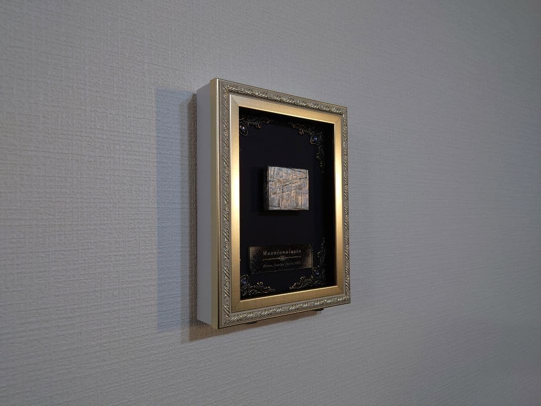 隕石絵画 ムオニオナルスタ隕石 133g鉄隕石【検索ワード ギベオン