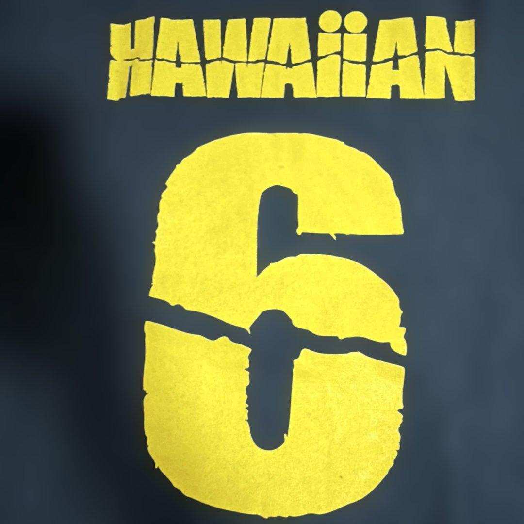 PIZZA OF DEATH Hawaiian6黒Tシャツ Lサイズ