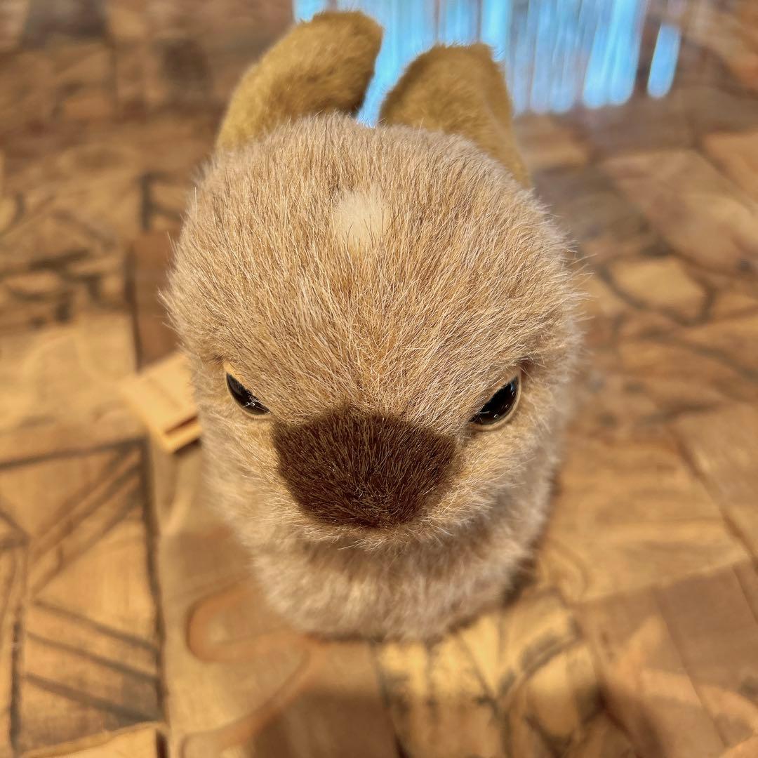 やまね工房 ぬいぐるみ 野うさぎの子 野ウサギ 動物 ハンドメイド作家