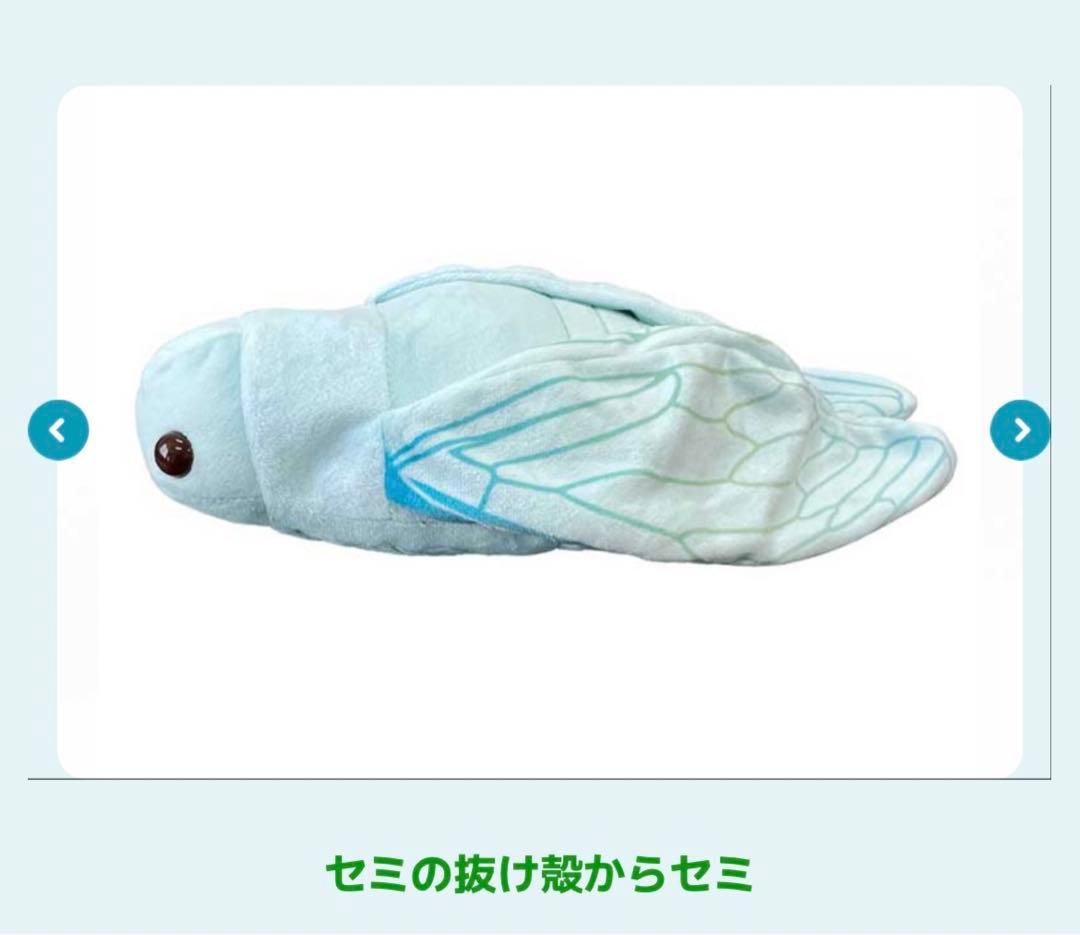 昆虫MANIAC マニアック セミの抜け殻からセミ ぬいぐるみ 科学博物館