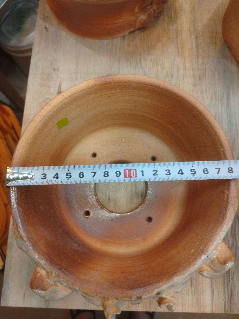 鉢　陶器　Japan　history　Art　伝統　植物　アガベ　パキプス　盆栽