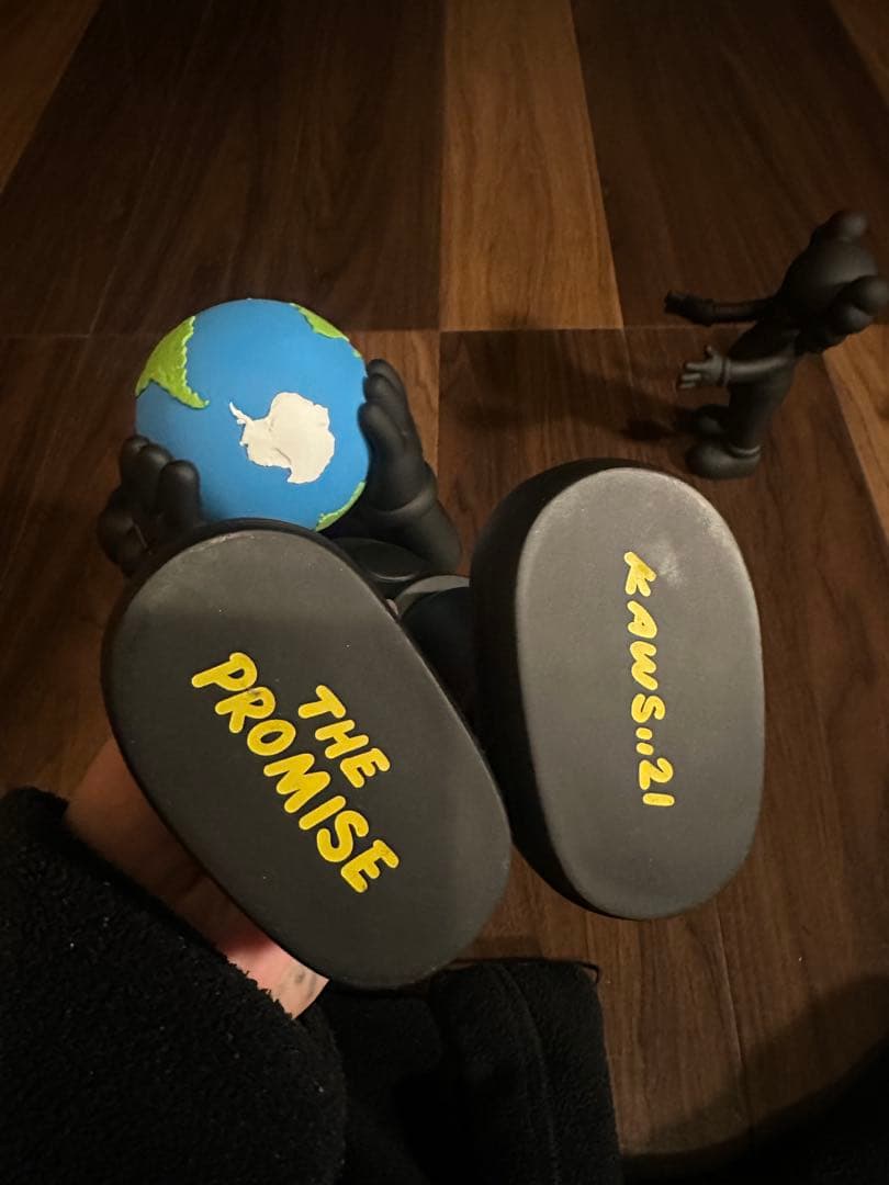 (本物)KAWS PROMISE COMPANION