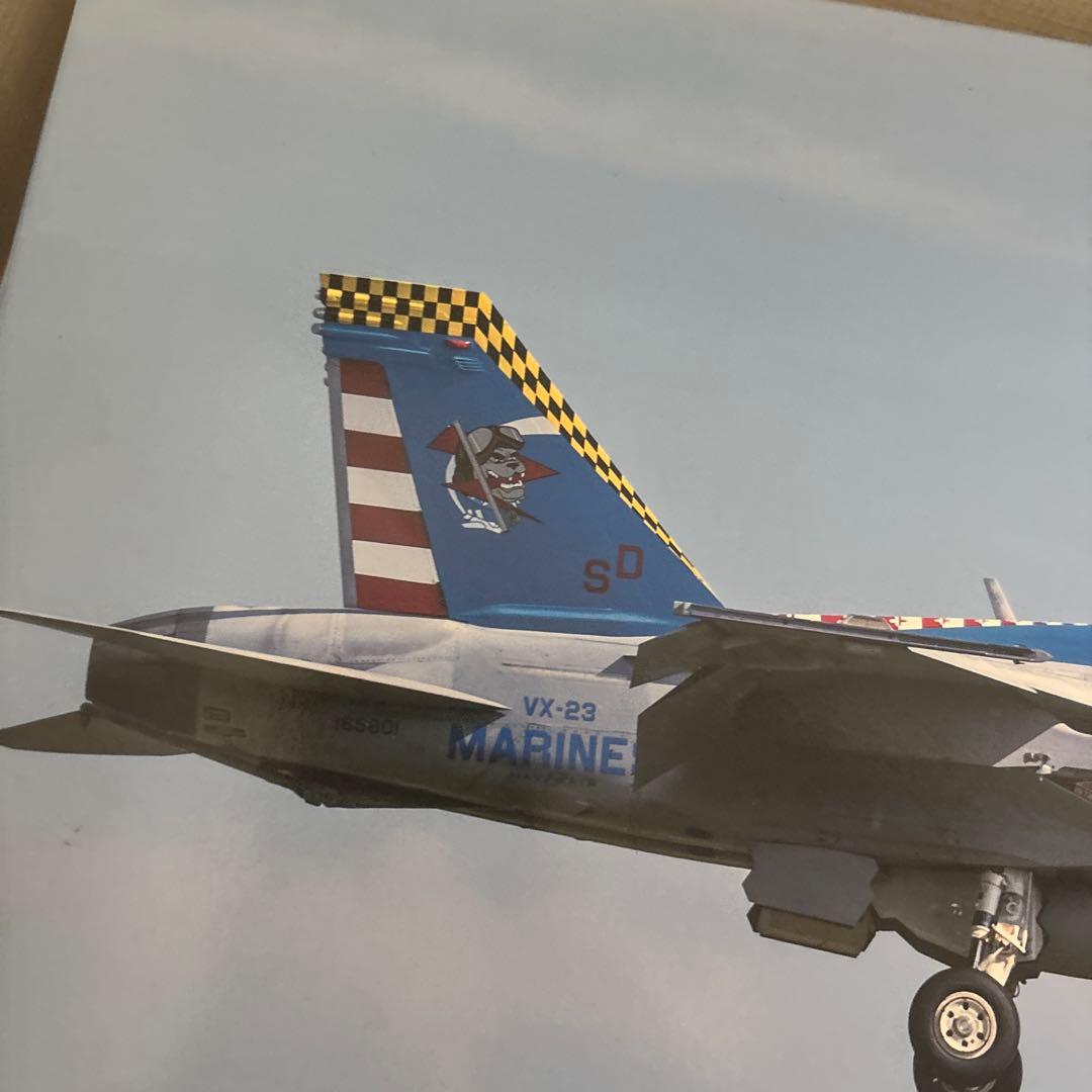 ハセガワ1/48 アメリカ海軍 F/A-18F スーパーホーネット VX-23