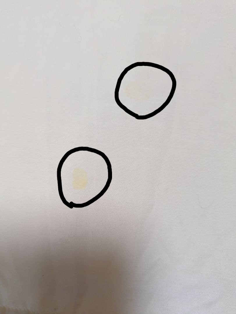 羽毛掛け布団 セミダブル 日本製 ダウン90%フェザー10%