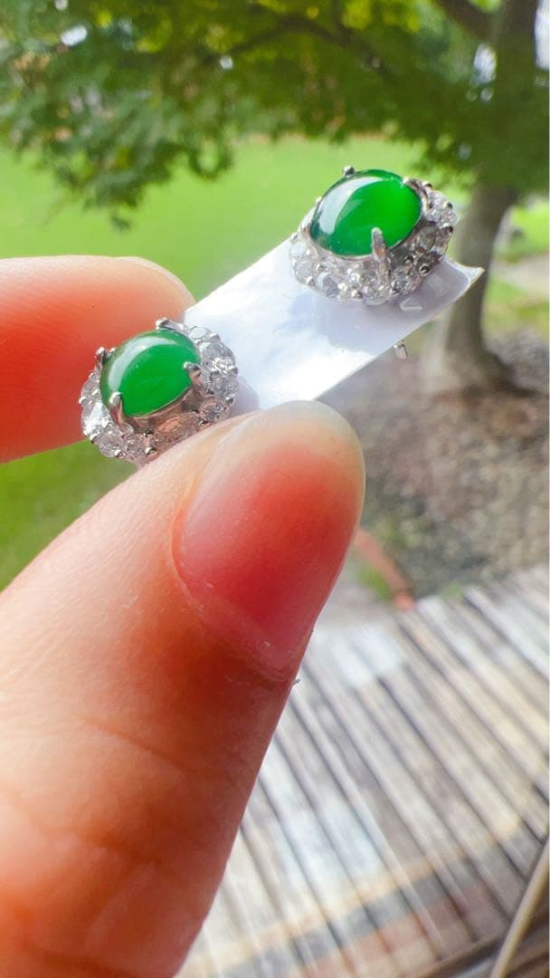 本翡翠グアテマラ産 氷辣緑帝王緑S925シルバーイヤリング NGTC鑑定