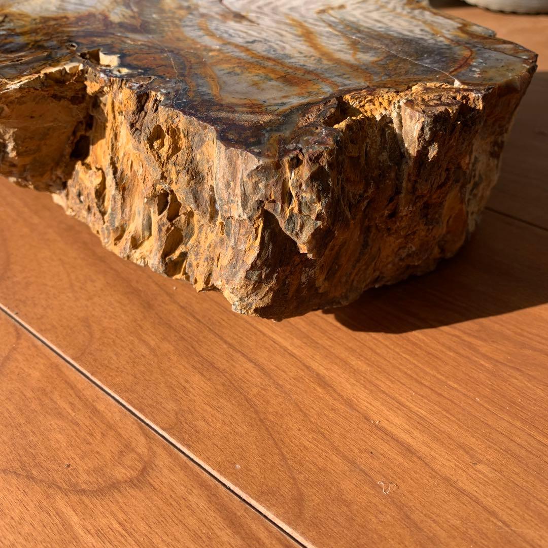 珪化木 大きい 20×17×5.5ほど - メルカリ