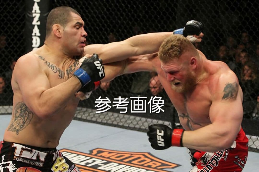 UFC ROUND5 フィギュア 限定版 ケイン・ヴェラスケス