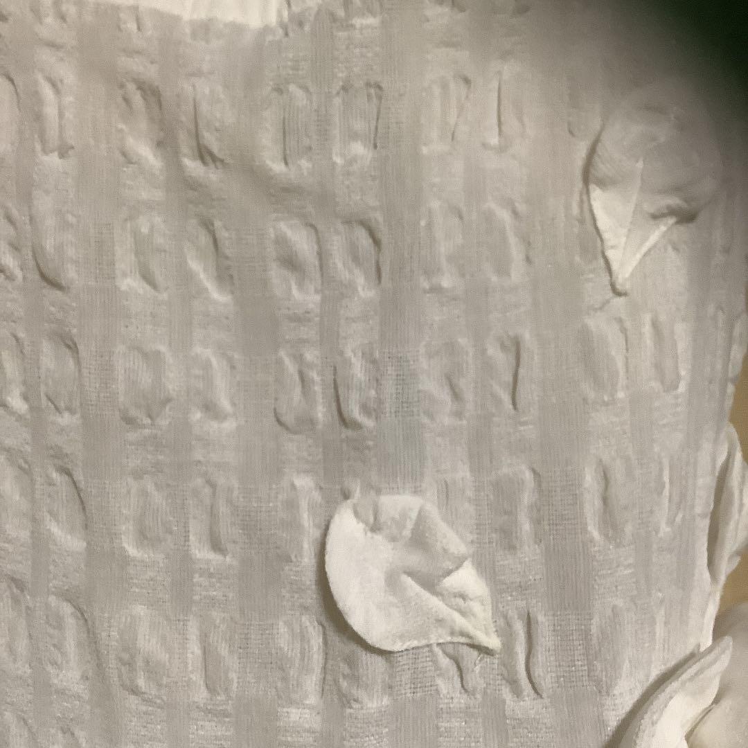 未使用　さえら　ポテチーノ　エプロン　バラモチーフ　ヒスクローネ　アキアカネ