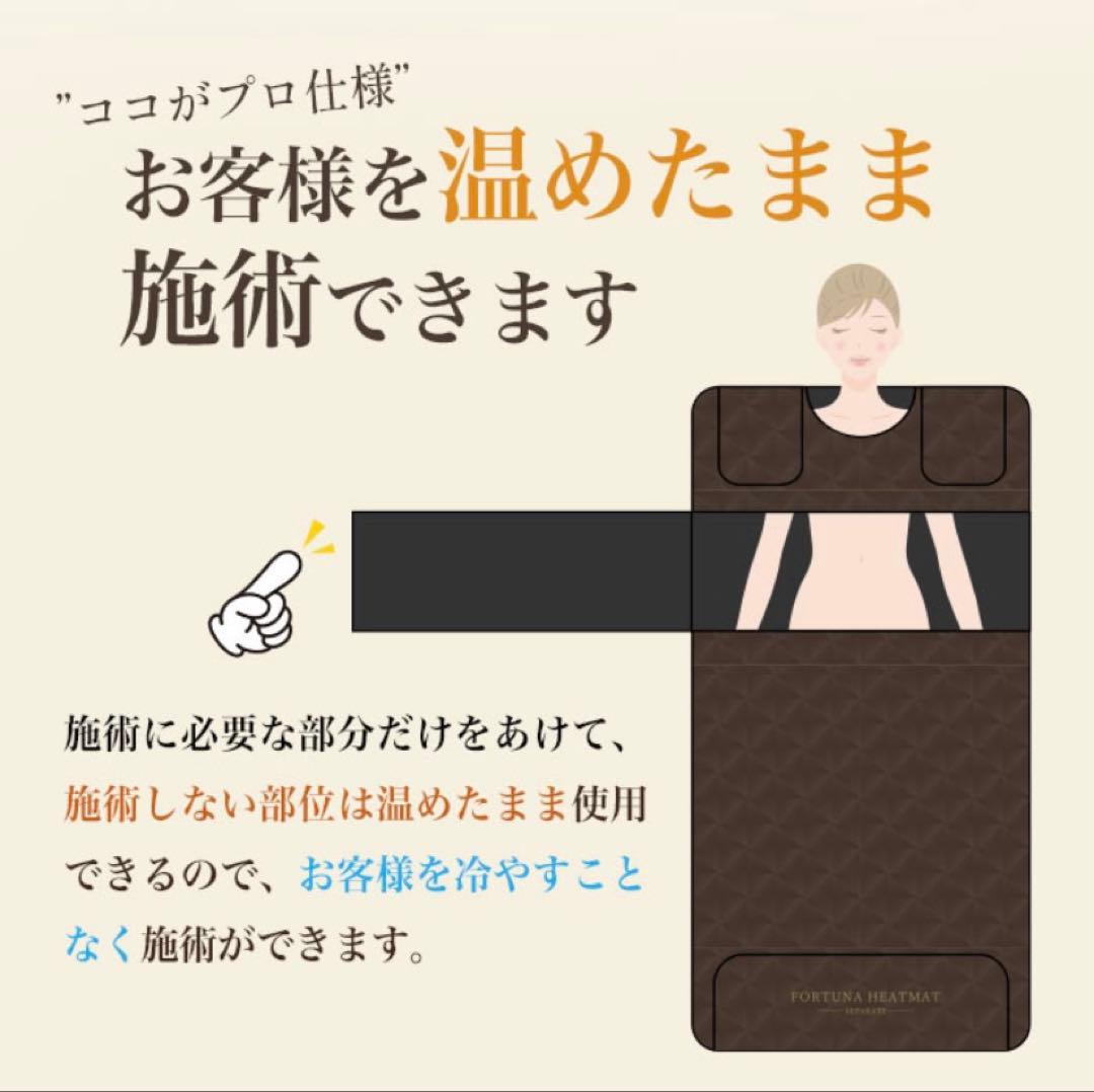 Lin　 FORTUNA HEATMAT separate