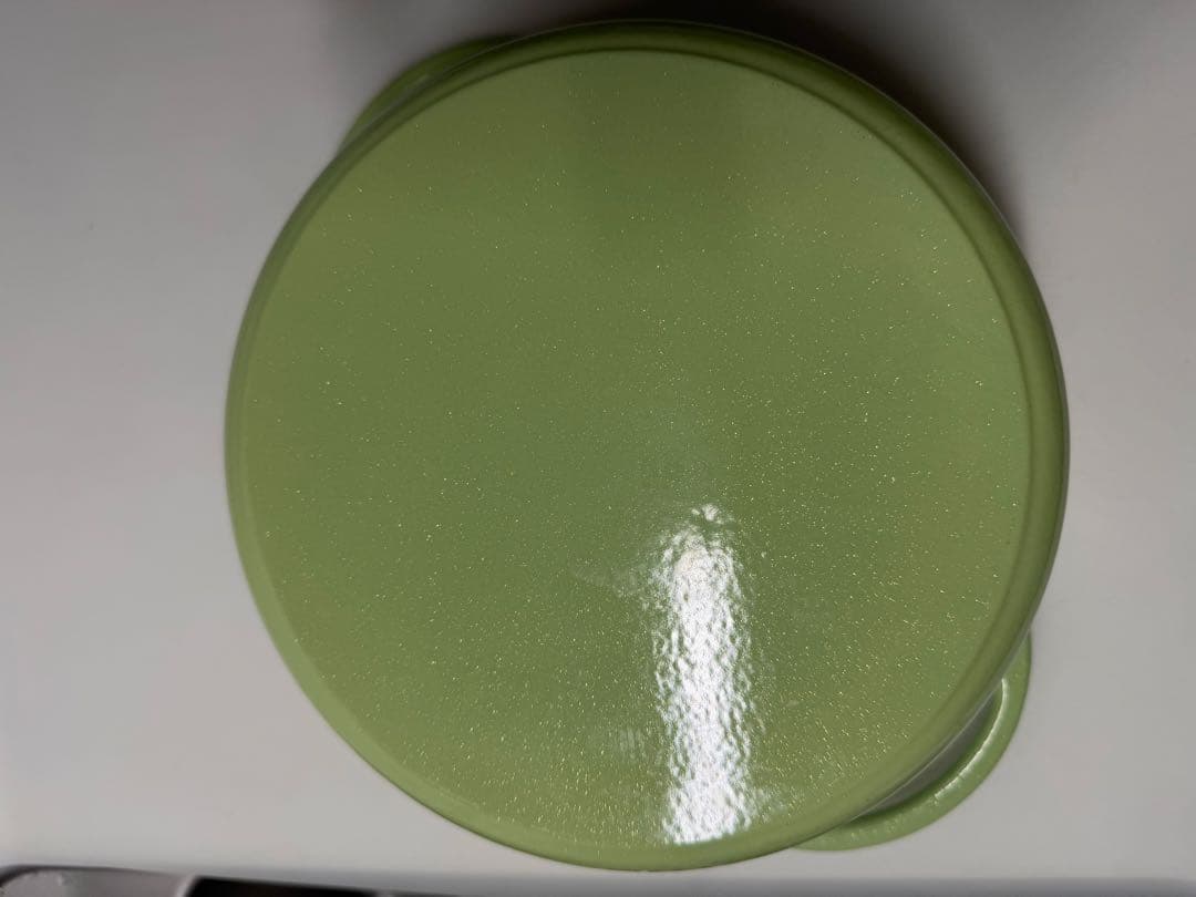 VERMICULAR 両手鍋 ライトグリーン 約22cm